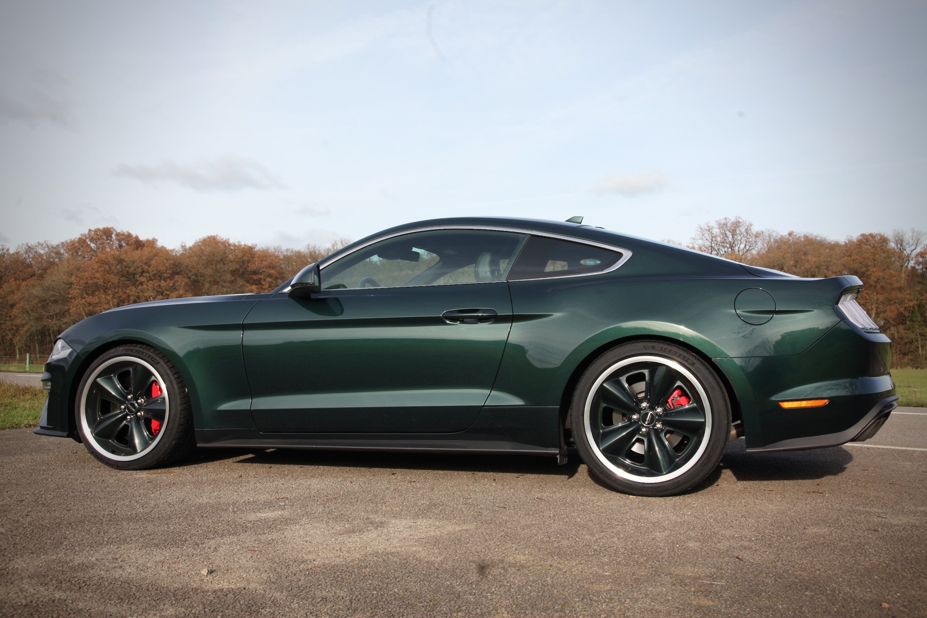 Florent's Bullitt Mustang "Art and Revs!"