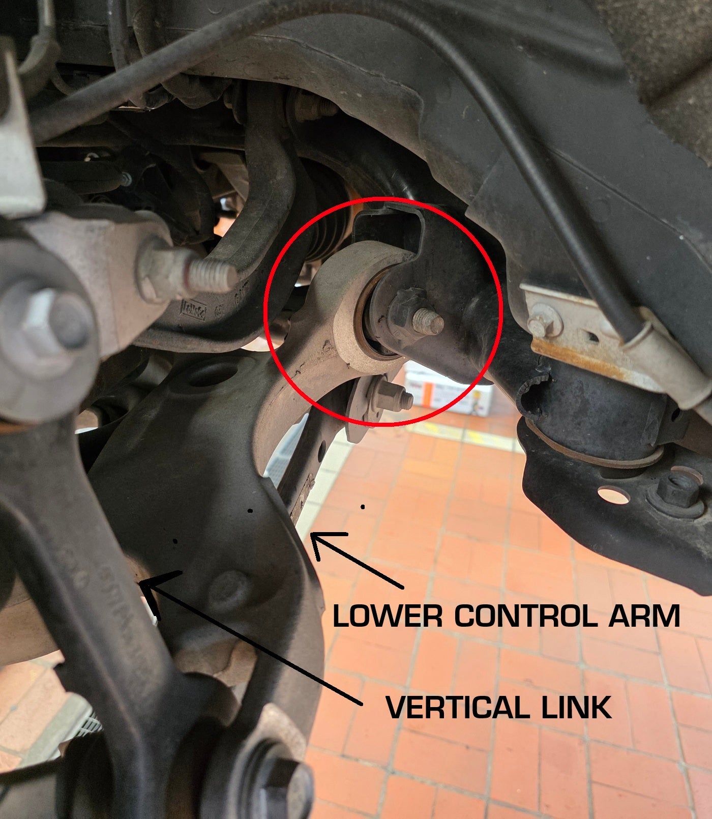 Steeda S550 Mustang Rear Lower Control Arm Bushings (2015-2023)