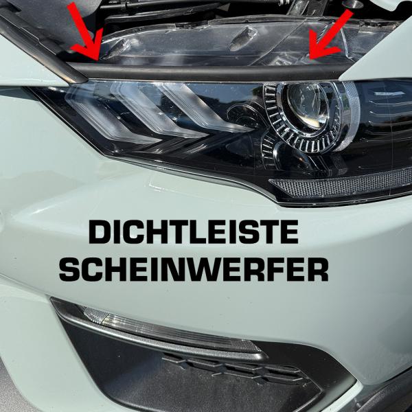 Fiege Performance Mustang Hood Seal Kit S550 & S650 - 2015+