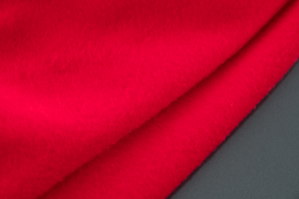 Mustang S550 Car Cover - Indoor