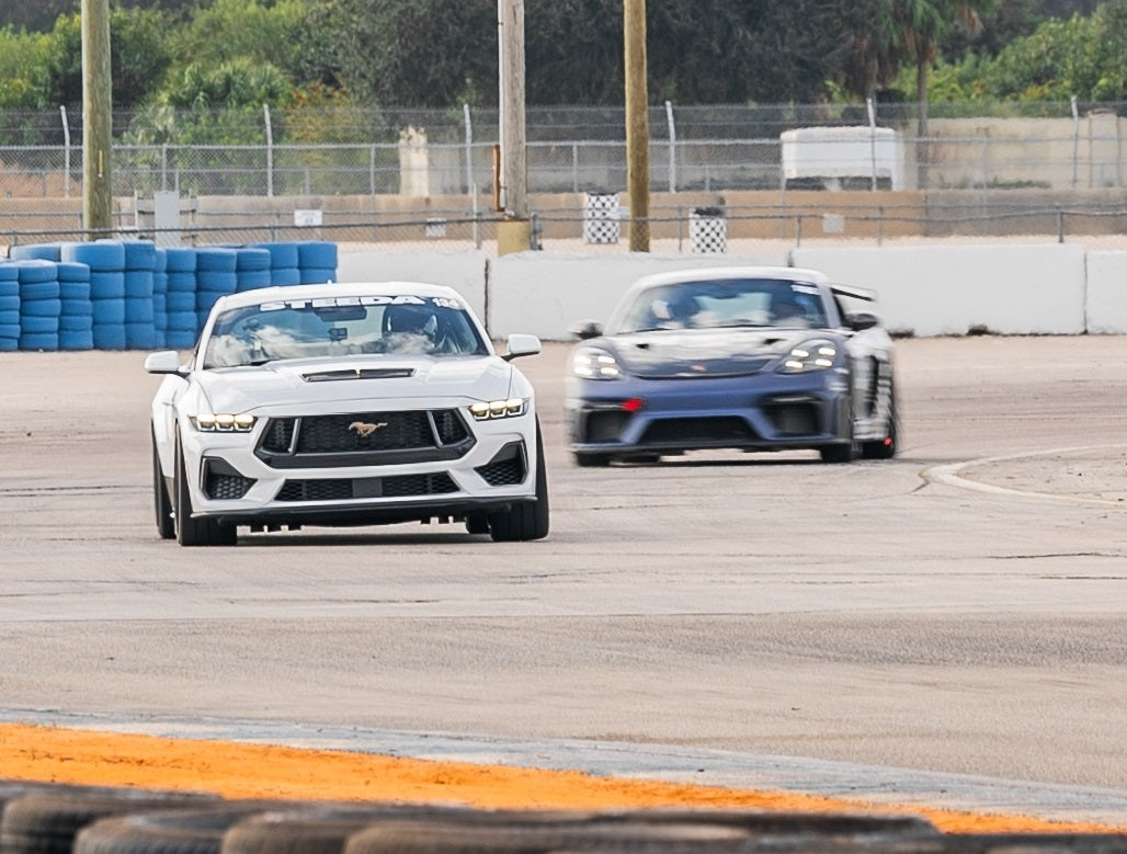 2024+ Steeda Q500 Enforcer