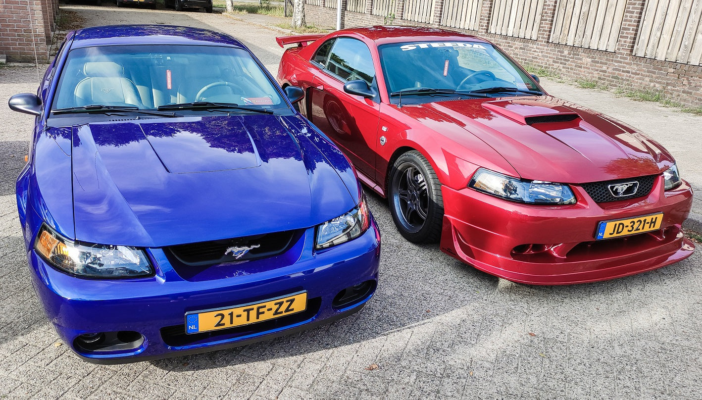 Denise és Mustang-függősége – A Steeda SSV 2004 GT SN95 Hollandiában!