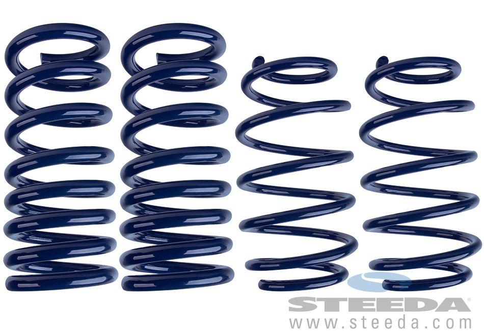 Steeda S550 GT Progressive Springs