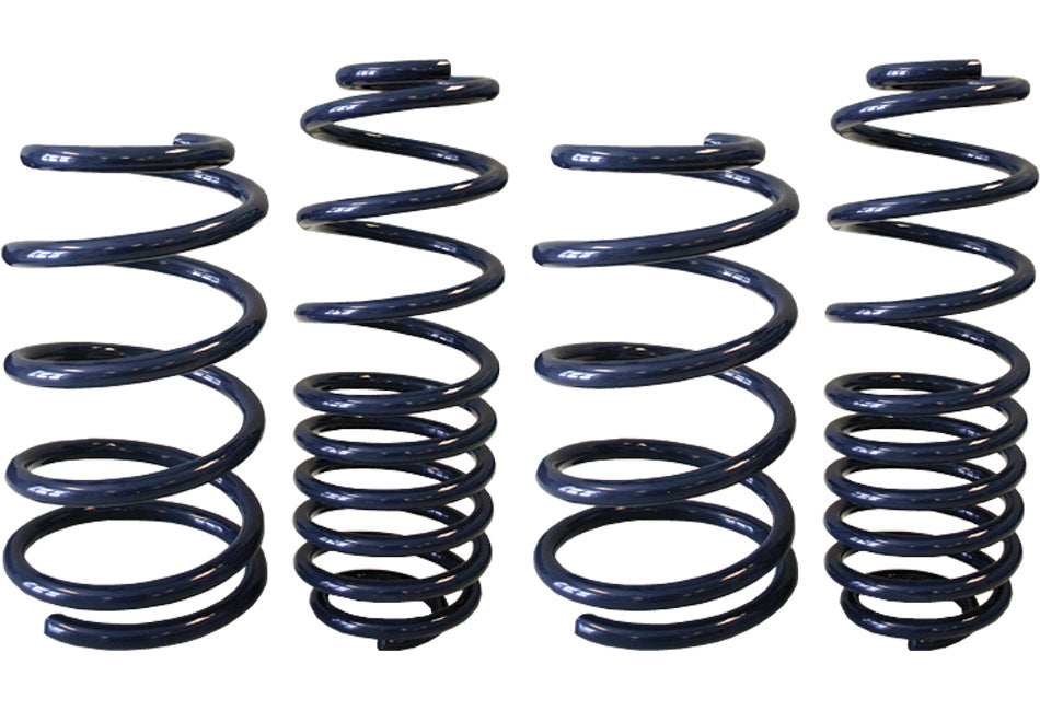 Steeda BOSS 302 Mustang Performance Lowering Springs (2012-2013)