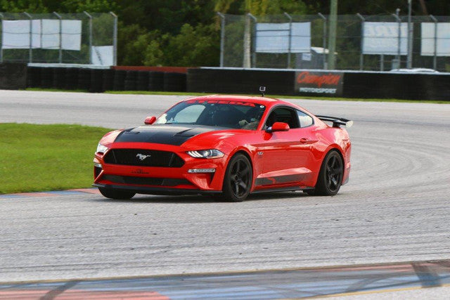 Steeda S550 Mustang Lowing Springs - معالجة نهائية للينابيع ذات المعدل المزدوج (2015-2023)