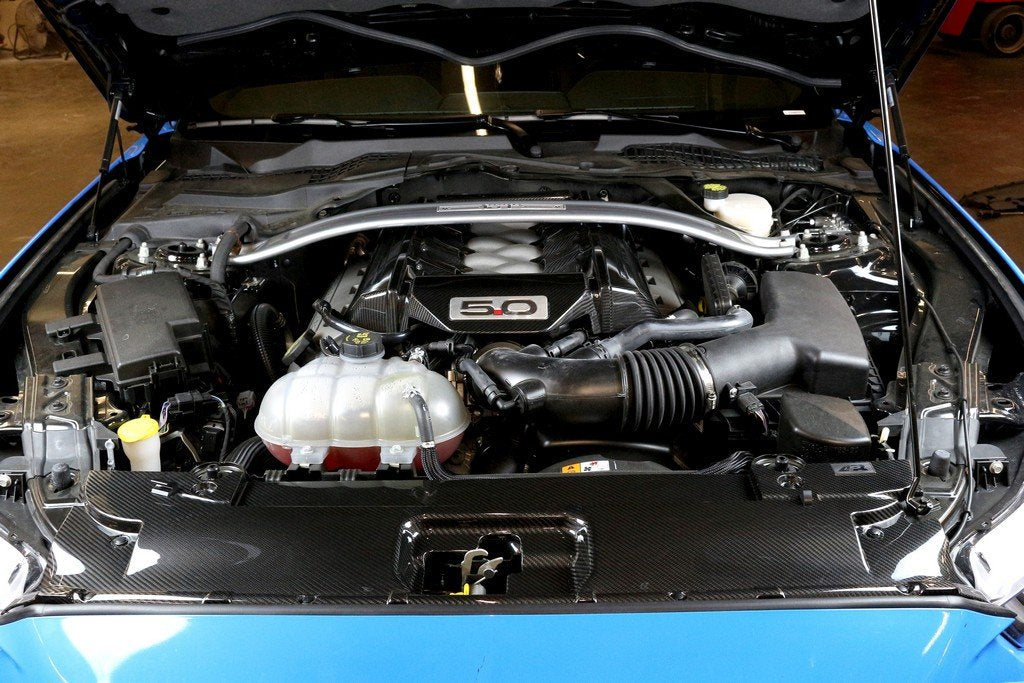 APR Cubierta de radiador de carbono Mustang Performance S550