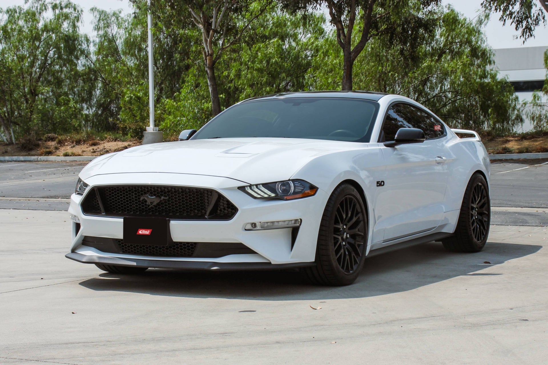 Eibach S550 Mustang GT e Ecoboost Kit Coilover Pro-Street S - Somente Magneride