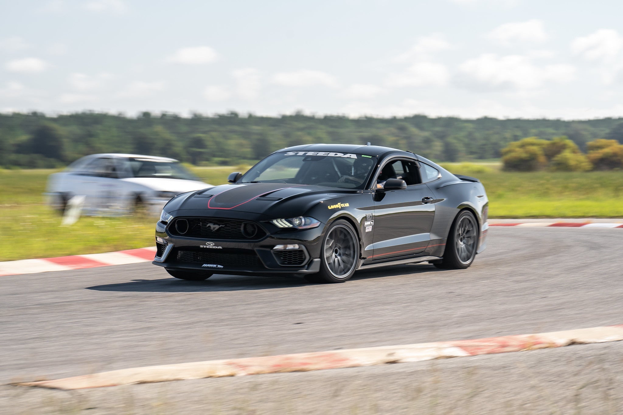 Steeda Mustang Magneride Ultimate Handling kettős sebességű leeresztő rugók (2015-2024)