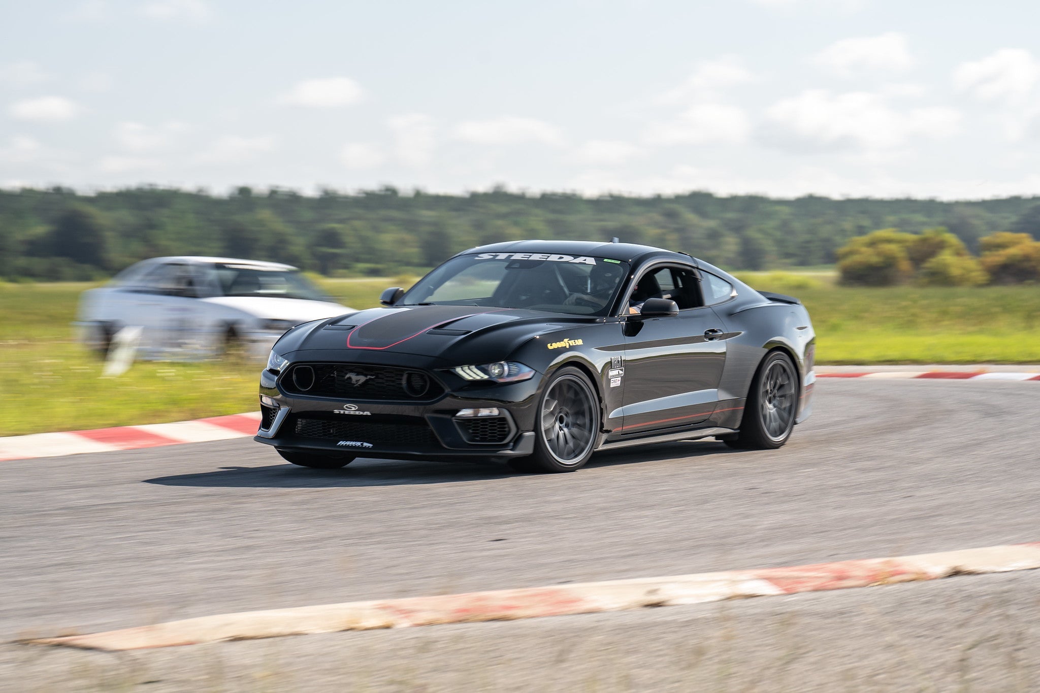Steeda S550 Mustang Magneride Lowering Springs - Dual Rate