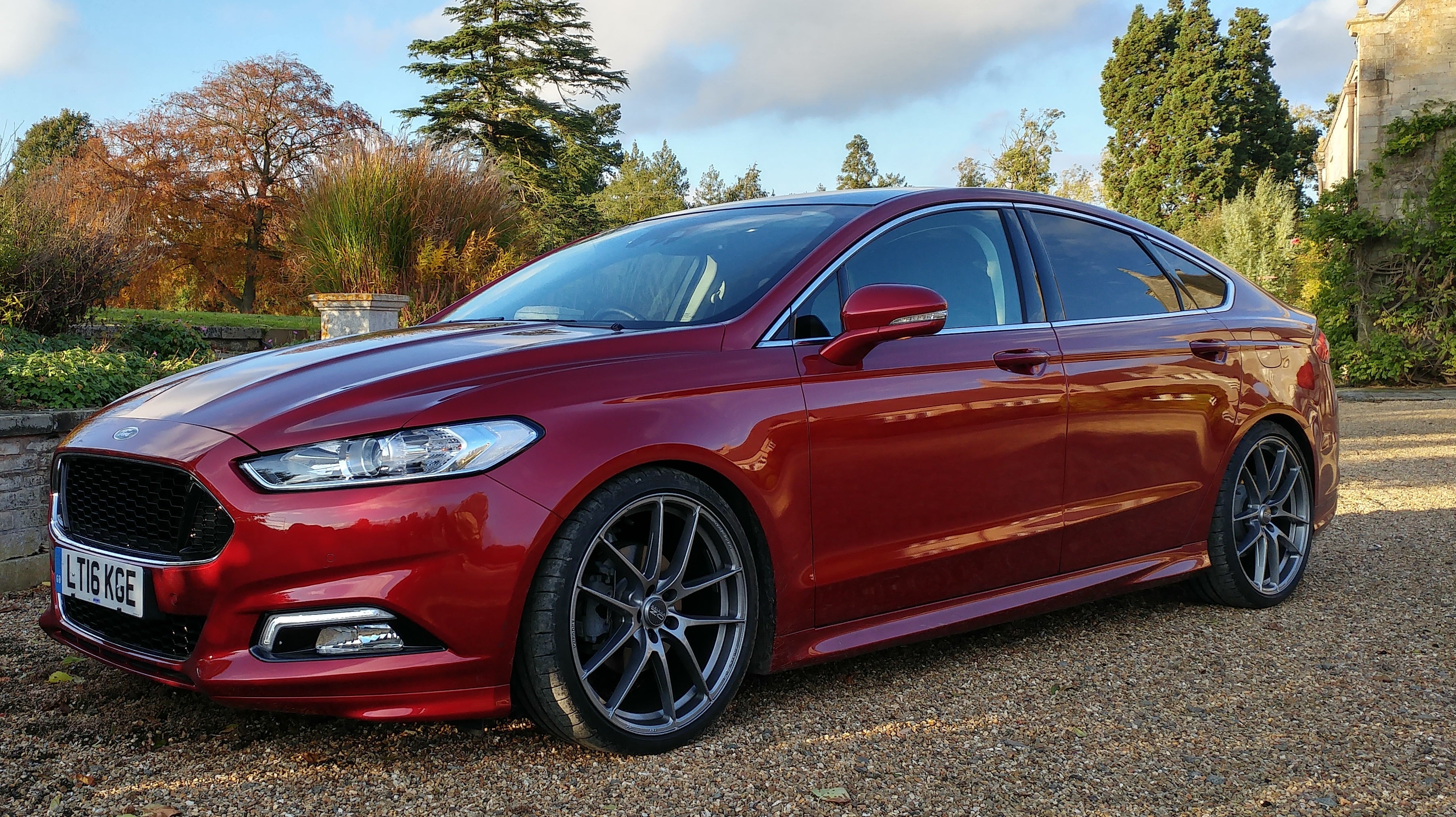 Steeda Mondeo Lower Springs