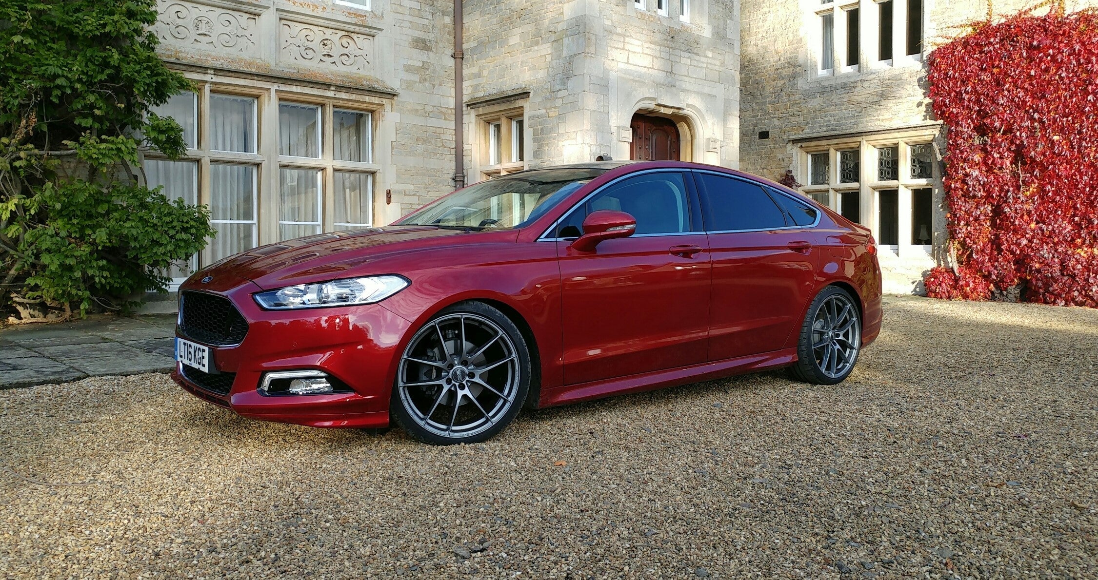 Steeda Mondeo Lower Springs