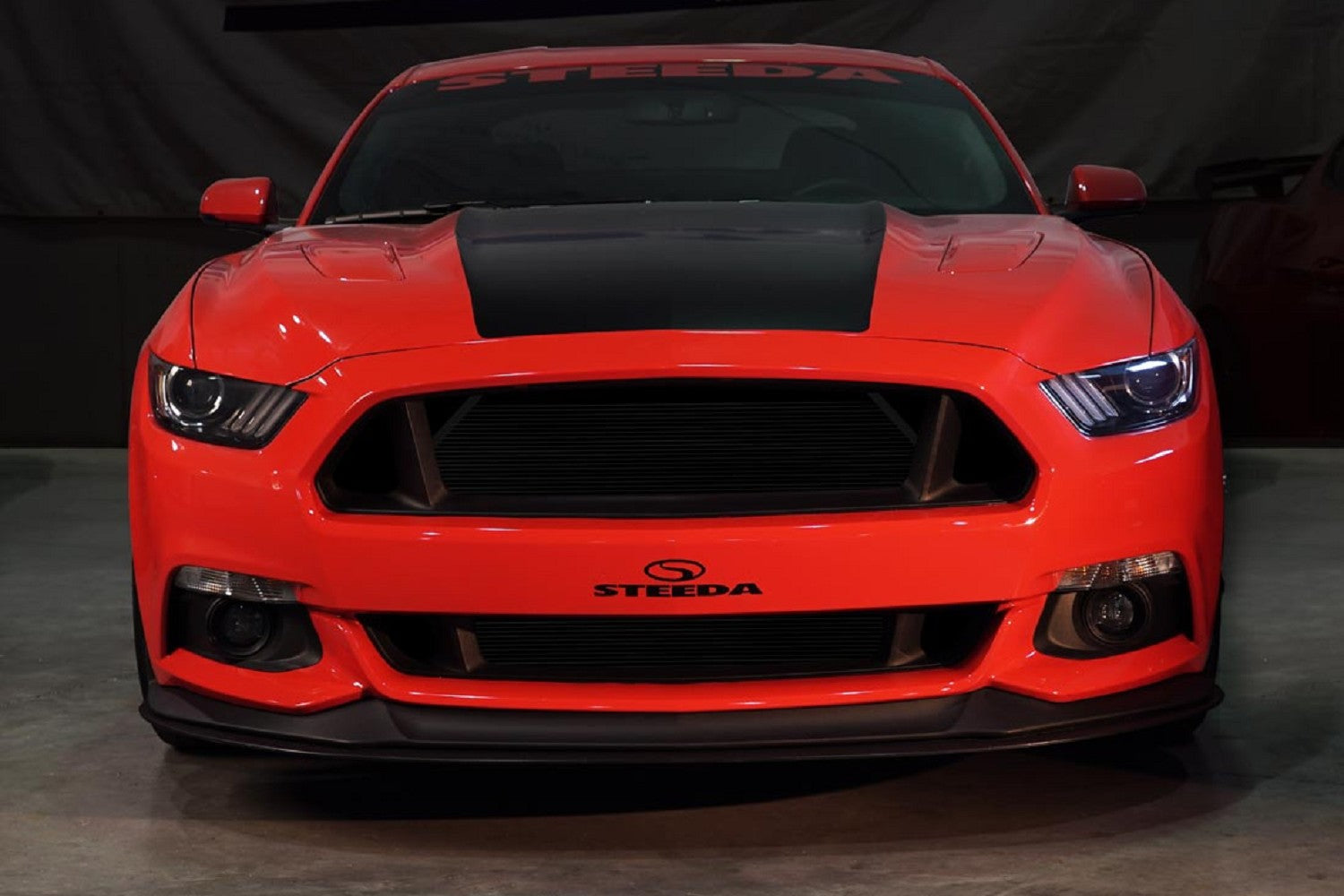 Exclusões do S550 Mustang Grill