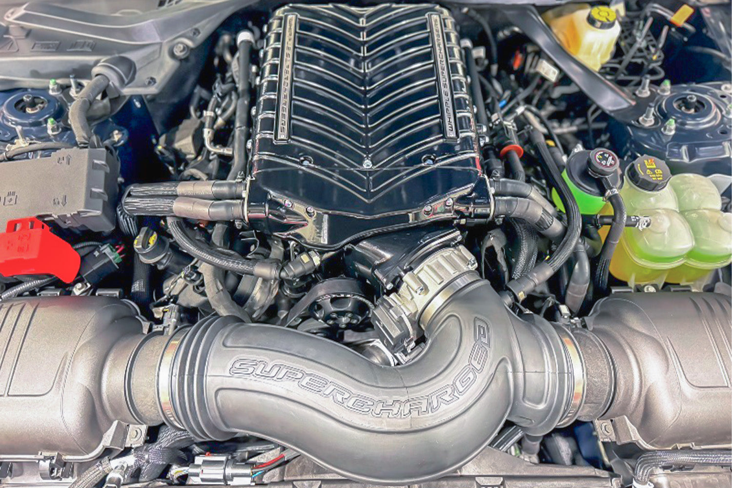 Whipple S650 Mustang GT / Dark Horse Supercharger System (2024+)