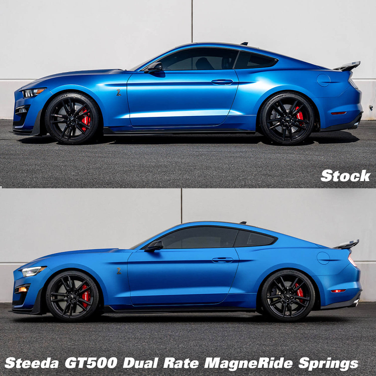 Steeda GT500 MagneRide Dual Rate Ultimate Handling Molle di abbassamento (2020-2023)