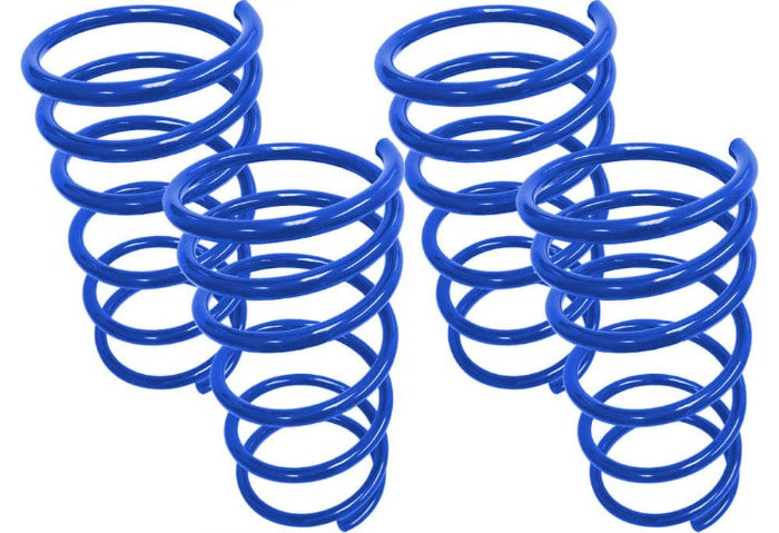 Steeda Focus Performance Springs